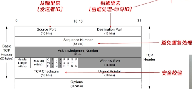 image-20251231003549975